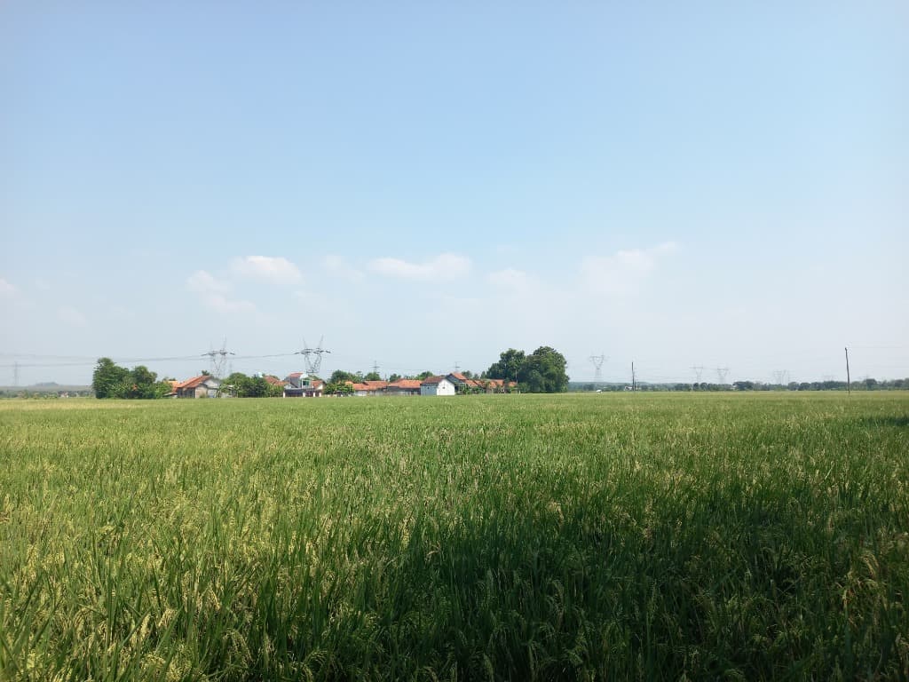 Pemandangan Desa Jebed Utara